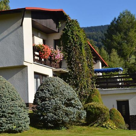 Apartmán Braun Rokytnice nad Jizerou Quarto foto