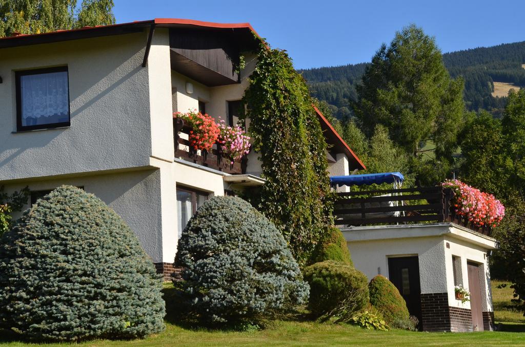 Apartmán Braun Rokytnice nad Jizerou Quarto foto