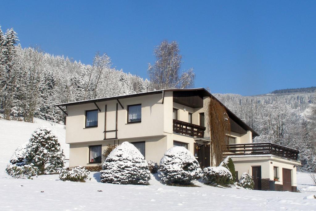 Apartmán Braun Rokytnice nad Jizerou Quarto foto