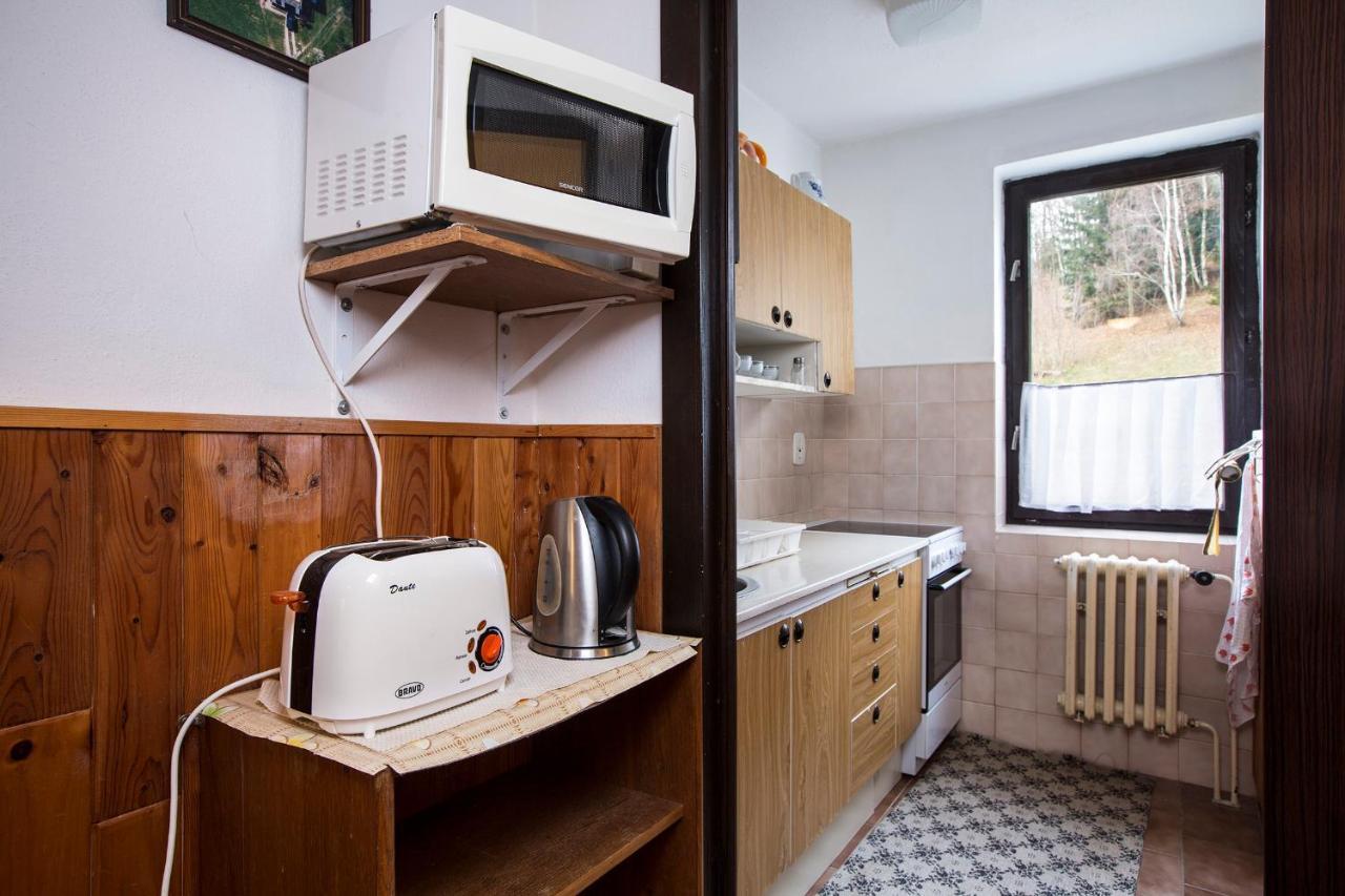 Apartmán Braun Rokytnice nad Jizerou Exterior foto