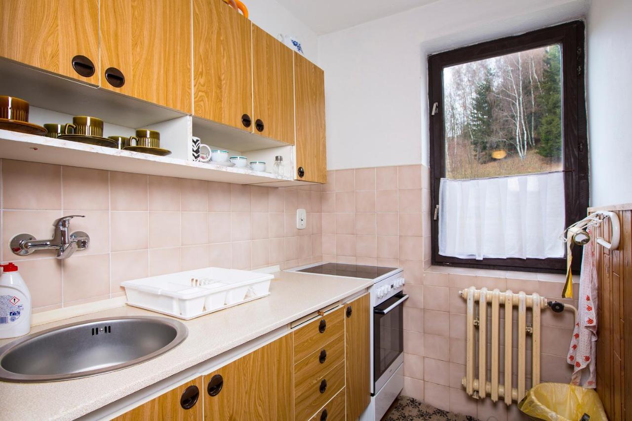 Apartmán Braun Rokytnice nad Jizerou Exterior foto